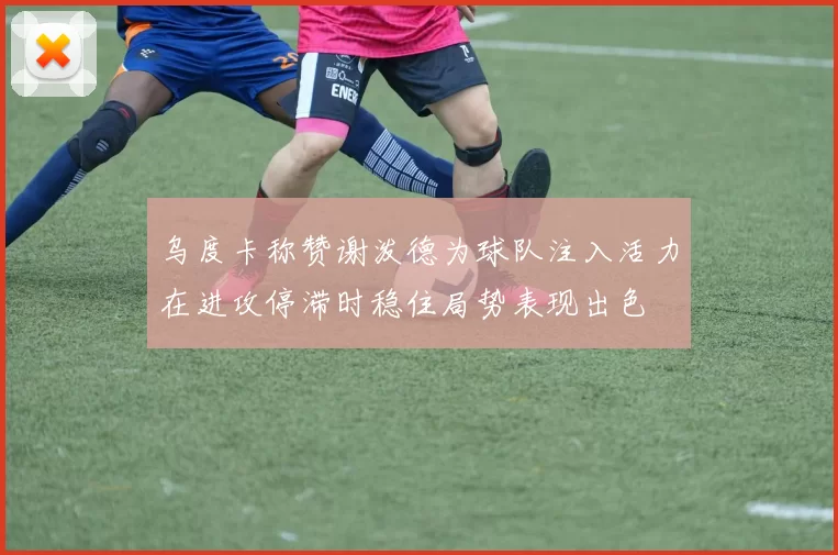 乌度卡称赞谢泼德为球队注入活力在进攻停滞时稳住局势表现出色