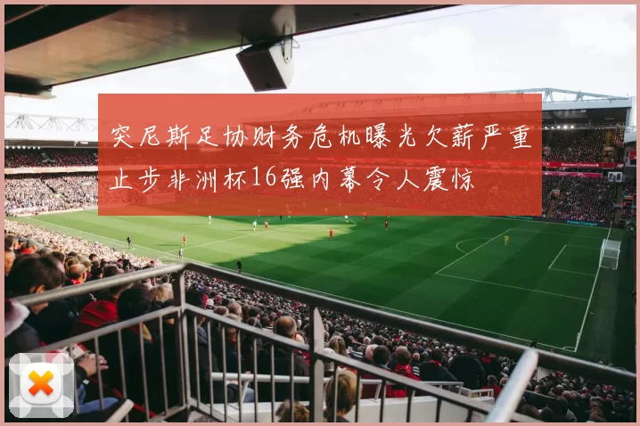 突尼斯足协财务危机曝光欠薪严重止步非洲杯16强内幕令人震惊